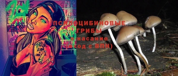 твердый Алексеевка