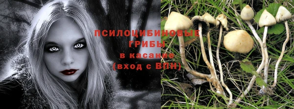 твердый Алексеевка