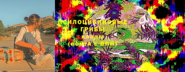 2c-b Рославль