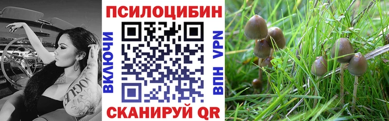 Галлюциногенные грибы Cubensis  ОМГ ОМГ ONION  Верхоянск 